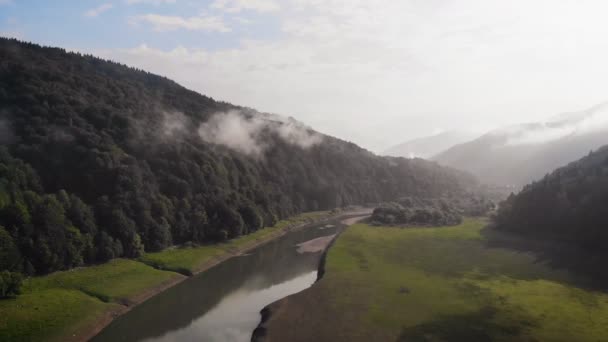 Rio Montanha Flui Entre Margens Rochosas Floresta — Vídeo de Stock