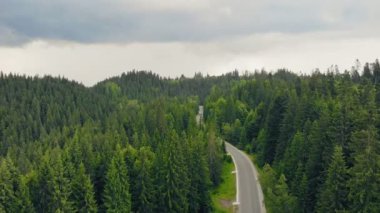 Dönek bir dağ yolu. Yol, orman tepelerinin zirvesinde..