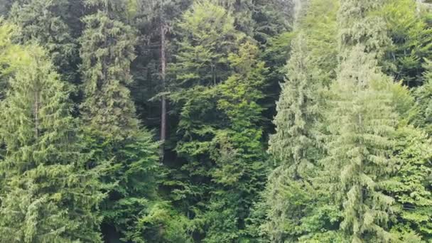 Drohne Fliegt Über Schöne Berge Zwischen Wolken — Stockvideo