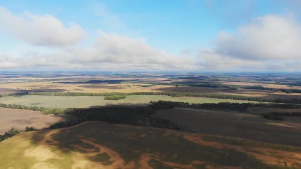 Flyg Och Start Ovanför Majsfältet Panoramautsikt Över Luften — Stockvideo