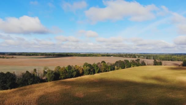 Flight Takeoff Corn Field Aerial Panoramic View — Stock Video