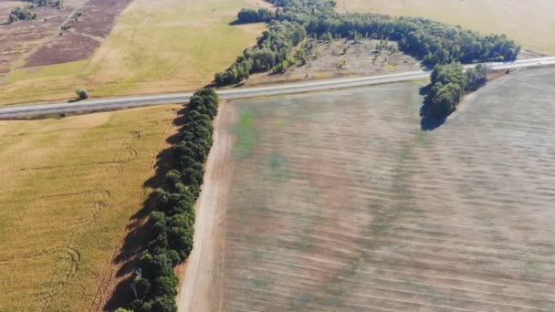 Vuelo Despegue Por Encima Del Campo Maíz Vista Panorámica Aérea — Vídeos de Stock