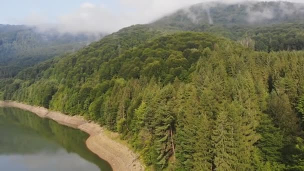 海の湾の緑の山々に囲まれた ドローンで撮影したビデオ 山湖やフィヨルドと解釈することもできます — ストック動画