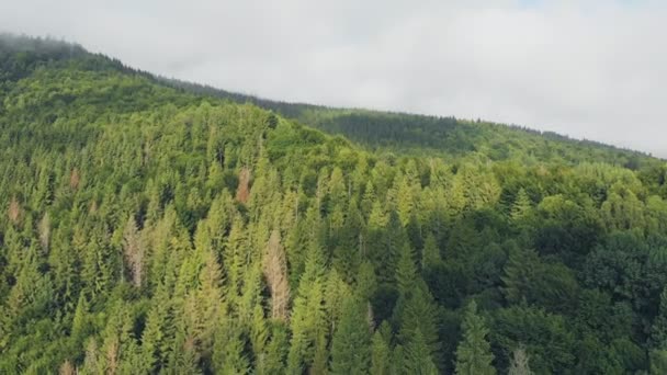 Drone volant au-dessus de belles montagnes parmi les nuages.