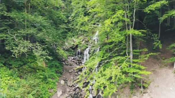Cachoeira Poderosa Incrível Floresta Tropical Vista Aérea Sobrevoando Cachoeira Apressando — Vídeo de Stock