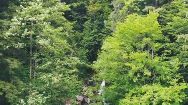 雨の森の中で素晴らしい強力な滝 空中からの眺め熱帯雨林の中を駆け抜ける滝 — ストック動画