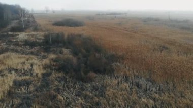 Sıcak kış boyunca vahşi bir bataklığın insansız hava aracının videosu..