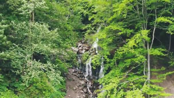 Cachoeira Poderosa Incrível Floresta Tropical Vista Aérea Sobrevoando Cachoeira Apressando — Vídeo de Stock