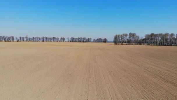 Luftaufnahmen Eines Landwirtschaftlichen Feldes Zeitigen Frühjahr — Stockvideo