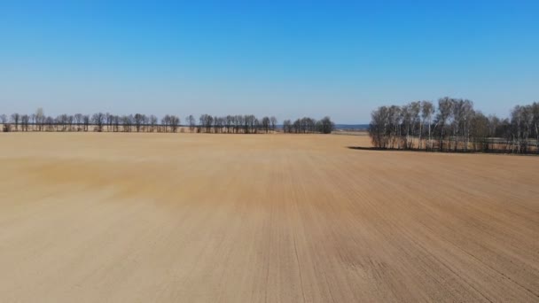 Flygbilder Ett Jordbruksfält Tidigt Våren — Stockvideo