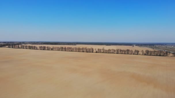 Filmagem Aérea Campo Agrícola Início Primavera — Vídeo de Stock