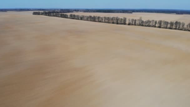 Imágenes Aéreas Campo Agrícola Principios Primavera — Vídeos de Stock