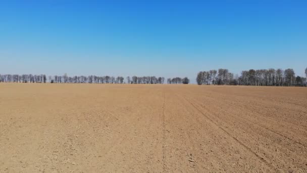 Filmagem Aérea Campo Agrícola Início Primavera — Vídeo de Stock