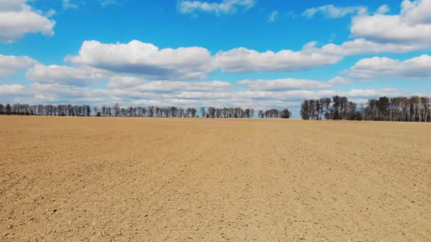 Flygbilder Ett Jordbruksfält Tidigt Våren — Stockvideo
