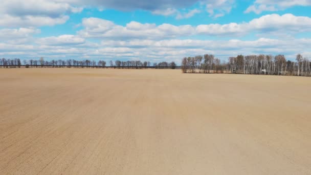 Luftaufnahmen Eines Landwirtschaftlichen Feldes Zeitigen Frühjahr — Stockvideo