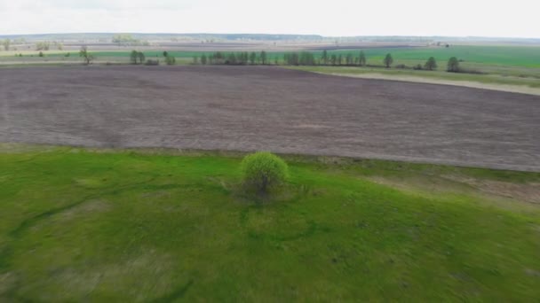 ドローンから撮影した映像 田舎の高地の眺め 夏の晴れた日 — ストック動画