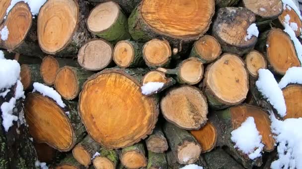 Lento Movimiento Nieve Cayendo Sobre Fondo Leña Madera — Vídeo de stock