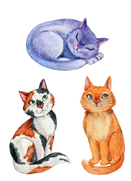 Tres gatos amistosos —  Fotos de Stock