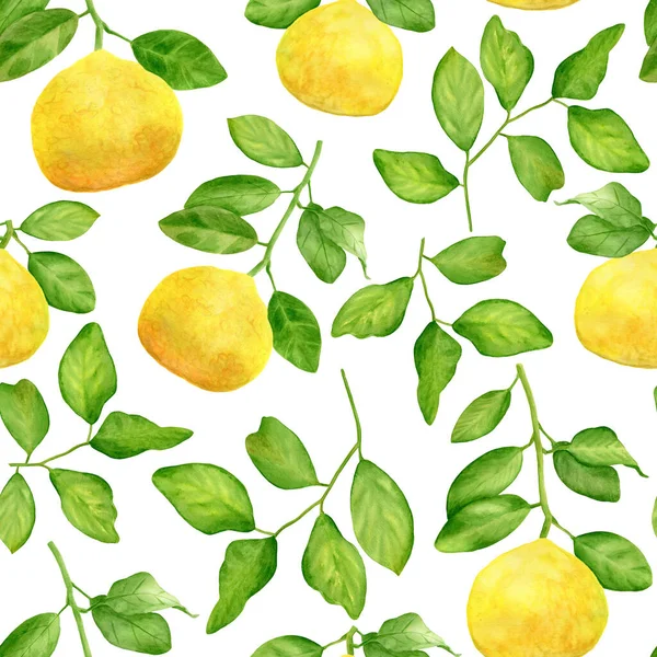 Ramo de limão amarelo aquarela e deixa padrão sem costura. Citrinos desenhados à mão isolados sobre fundo branco. Ilustração botânica para design e decoração, cartões, embalagem, têxtil . — Fotografia de Stock