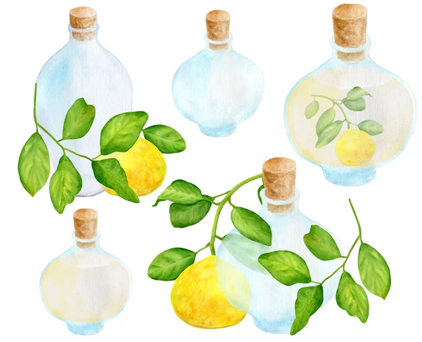 Zestaw olejków akwarelowych cytrynowych. Ręcznie rysowane żółte owoce cytrusowe, liście, szkło przezroczyste butelki izolowane na białym tle. Elementy kliparty spa do projektowania i dekoracji. — Zdjęcie stockowe