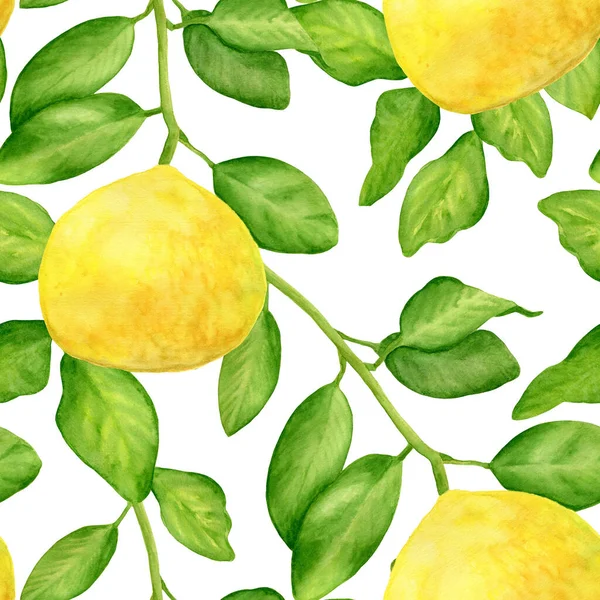 Watercolor lemon with branch and leaves seamless pattern. Hand drawn plants isolated on white background. Botanical illustration for design and decoration, cards, wrapping, textile. — ストック写真