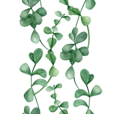 Suluboya okaliptüs dalları dikişsiz desen oluşturur. Beyaz arka planda yalıtılmış yuvarlak yapraklı el yapımı gümüş dolarlık bitki. Tasarım, duvar kağıdı, ambalaj, kartlar, ev dekorasyonu için kenar şablonu.