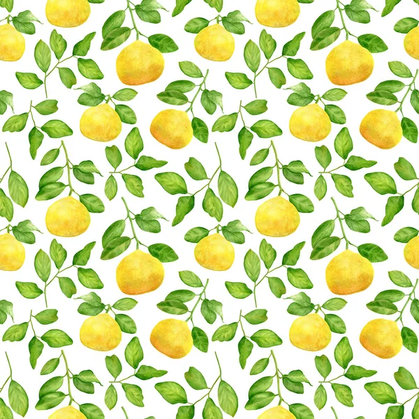 水彩画的黄色柠檬枝条,留下无缝图案. 人工提取的柑橘类植物，在白色背景下被分离出来。 用于设计和装饰、卡片、包装材料、纺织品的植物学图解. — 图库照片
