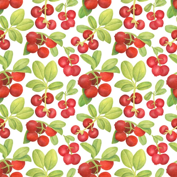 Padrão sem costura de cowberry aquarela. Ramo desenhado à mão com bagas vermelhas e folhas no fundo branco. Planta florestal para design, cartões, convites, papel de parede, envoltório, têxtil, embalagem de alimentos . — Fotografia de Stock