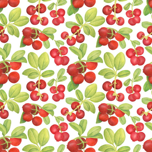 Watercolor cowberry seamless pattern. Hand drawn branch with red berries and leaves on white background. Forest plant for design, cards, invitations, wallpaper, wrapping, textile, food packaging.
