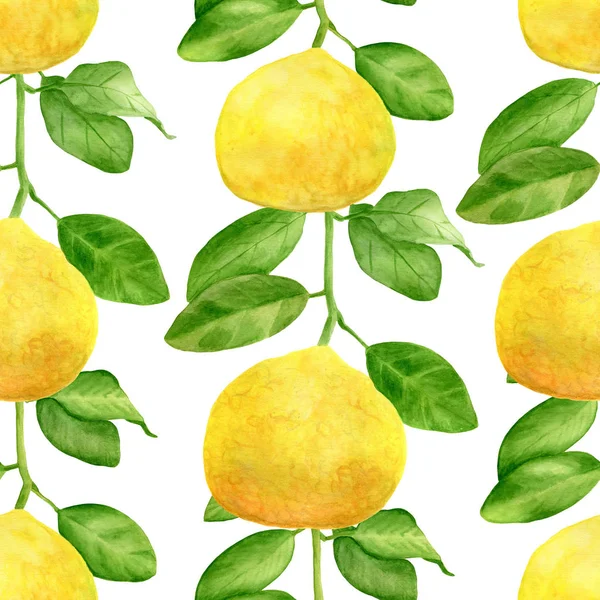 Ramo de limão amarelo aquarela e deixa padrão sem costura. Citrinos desenhados à mão isolados sobre fundo branco. Ilustração botânica para design e decoração, cartões, embalagem, têxtil . — Fotografia de Stock