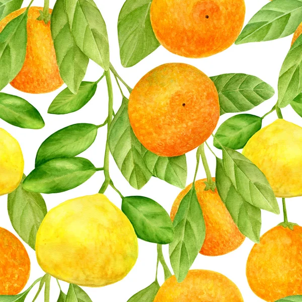 Watercolor citrus seamless pattern. Hand drawn botanical illustration of mandarins, tangerines and lemon fruits with leaves. Plants isolated on white background for design, textile, package, wrapping.