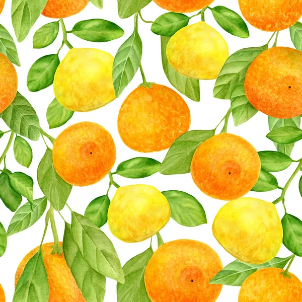Watercolor citrus seamless pattern. Hand drawn botanical illustration of mandarins, tangerines and lemon fruits with leaves. Plants isolated on white background for design, textile, package, wrapping.