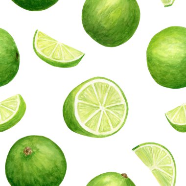 Suluboya kireç pürüzsüz desen. Beyaz arka planda izole edilmiş narenciye dilimleri ve meyvelerin el çizimi.