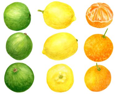Suluboya taze limon, mandalina ve limon. Beyaz arka planda izole edilmiş sarı, turuncu ve yeşil narenciye meyvelerinin el çizimi. Tasarım ve dekor için tırman, paket, kart.