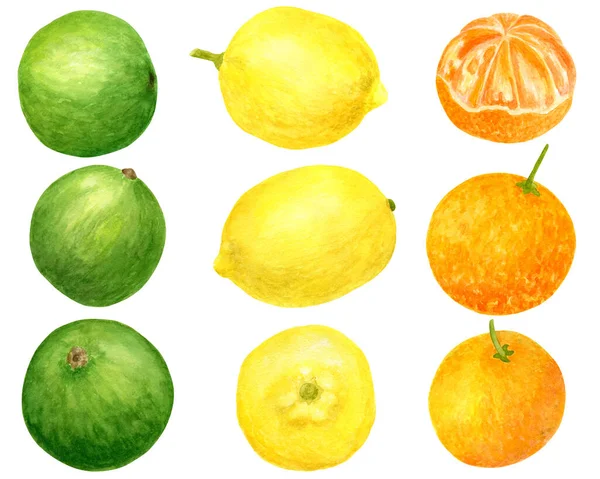 Acuarela de limón fresco, mandarina y lima. Ilustración botánica dibujada a mano de cítricos amarillos, naranjas y verdes aislados sobre fondo blanco. Clipart para diseño y decoración, paquete, tarjetas . — Foto de Stock