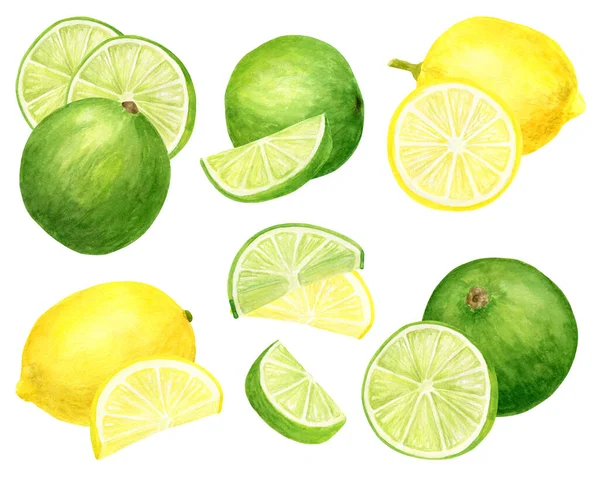 Conjunto de limão e limão fresco aquarela. Ilustração botânica desenhada à mão de citrinos amarelos e verdes isolados sobre fundo branco. Clipart objetos para design e decoração, pacote, cartões . — Fotografia de Stock