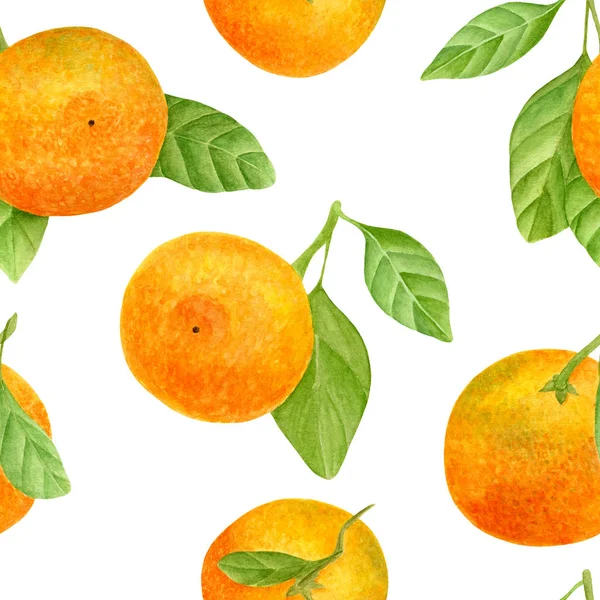 Akvarell mandarin zökkenőmentes minta. Mandarin gyümölcsök kézzel rajzolt botanikai illusztrációja levelekkel. Fehér alapon elszigetelt citrusfélék design, textil, csomagolás, csomagolás céljából. — Stock Fotó