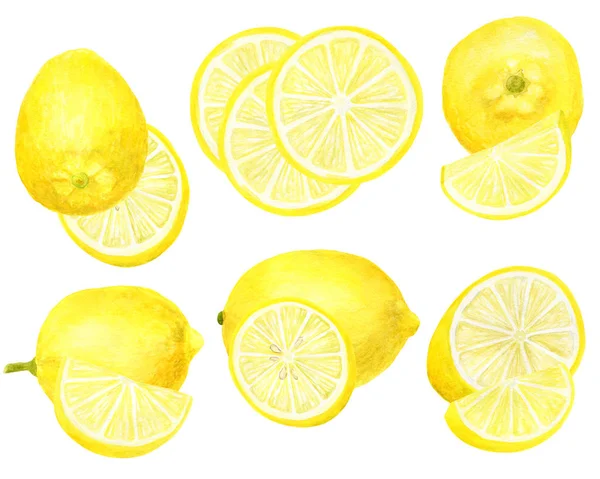 Set de limón acuarela fresca. Ilustración botánica dibujada a mano de cítricos amarillos aislados sobre fondo blanco. Objetos Clipart para diseño y decoración, paquete, tarjetas . — Foto de Stock