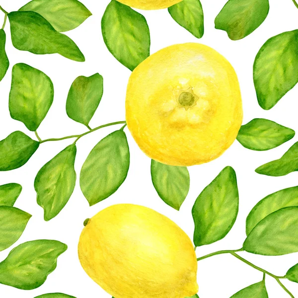 葉のシームレスなパターンを持つ水彩レモン。白地に孤立した黄色い柑橘類の植物図を手描き。織物、包装、パッケージ、カード、装飾のためのデザイン. — ストック写真