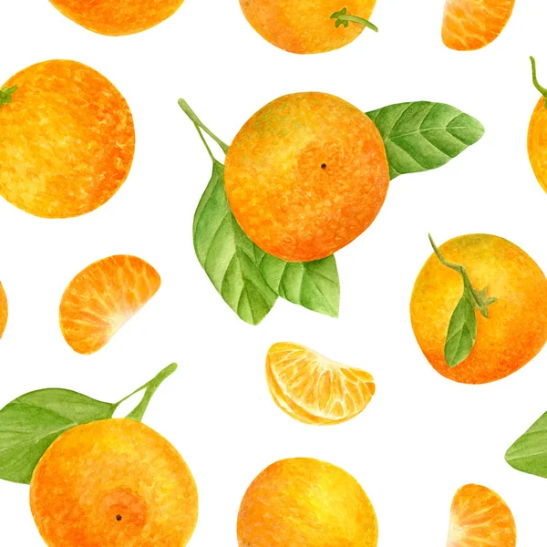 Akvarell mandarin zökkenőmentes minta. Mandarin gyümölcsök kézzel rajzolt botanikai illusztrációja levelekkel. Citrus narancs növények elszigetelt fehér alapon tervezés, textil, csomag, csomagolás. — Stock Fotó