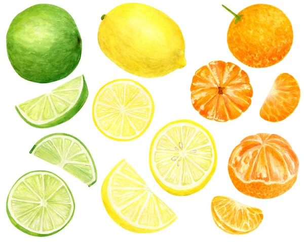 Acuarela de limón fresco, mandarina y lima. Ilustración botánica dibujada a mano de cítricos amarillos, naranjas y verdes aislados sobre fondo blanco. Clipart para diseño y decoración, paquete, tarjetas . — Foto de Stock