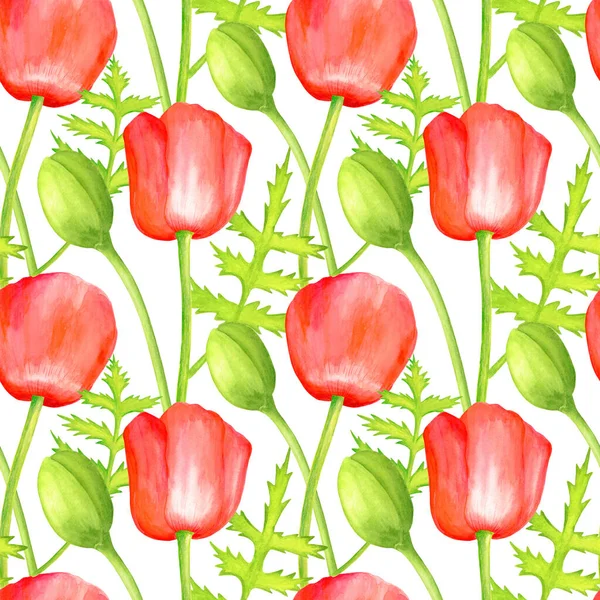 Aguarela vermelho Poppy sem costura padrão. Flor botânica desenhada à mão Papaver, papoula e ilustração folha isolada no fundo branco. Textura de planta de campo brilhante para decoração, design, têxtil . — Fotografia de Stock