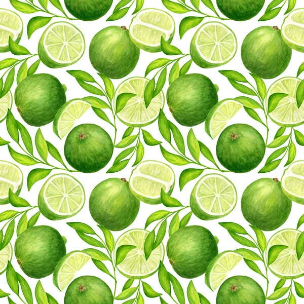 水彩石灰 叶型无缝 手绘新鲜绿色柑橘类水果插图 白色背景下分离用于纺织品 — 图库照片