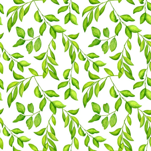 Acquerello Verde Agrumi Foglie Modello Senza Soluzione Continuità Ramoscelli Disegnati — Foto Stock