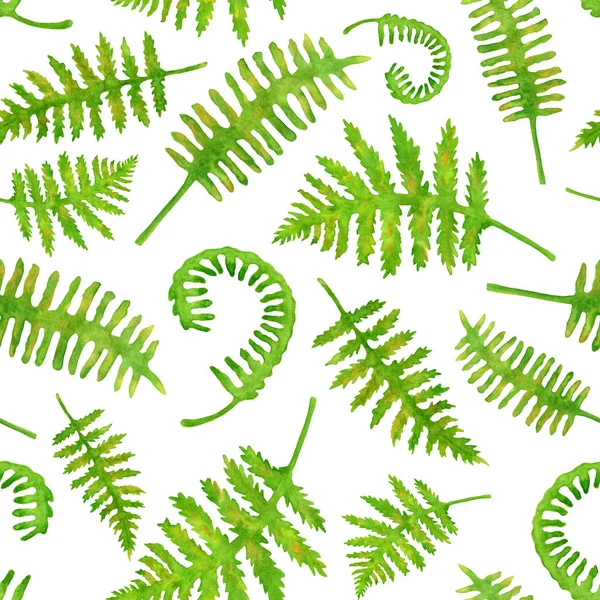 Watercolor green fern leaves seamless pattern. Hand painted forest plants Polypodiopsida texture isolated on white background. Illustration for decoration, cards, invitations, textile, wrapping