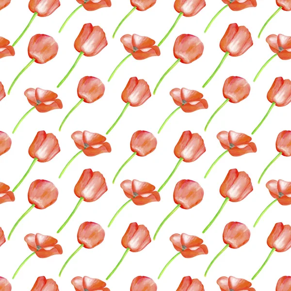水彩画红色波比无缝图案 在白色背景上孤立的手工绘制的植物木瓜花卉图解 印刷用明亮的田园植物质感 — 图库照片