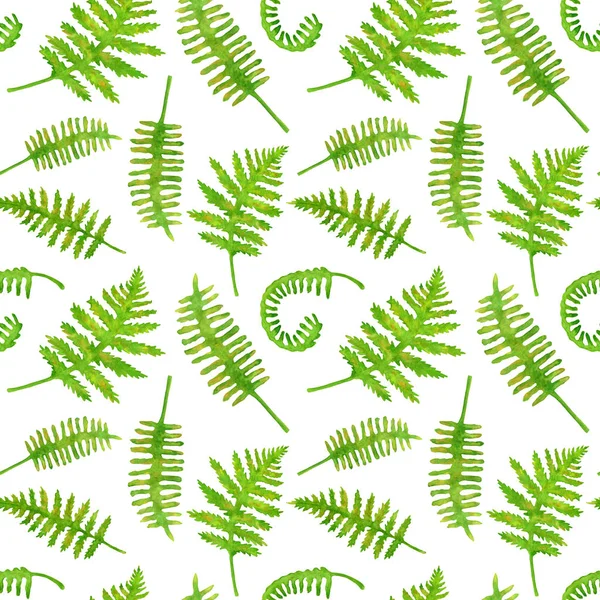 Watercolor green fern leaves seamless pattern. Hand painted forest plants Polypodiopsida texture isolated on white background. Illustration for decoration, cards, invitations, textile, wrapping