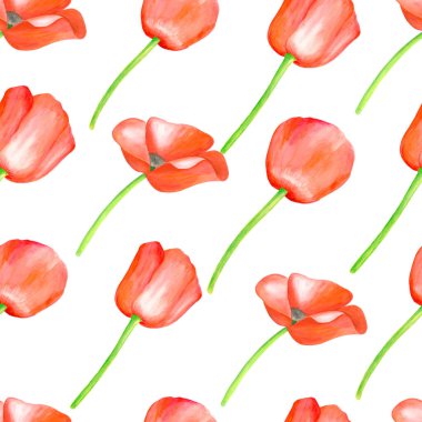 Suluboya kırmızı haşhaş pürüzsüz desen. El çizimi botanik papaver çiçeği çizimi beyaz arka planda izole edilmiş. Dekorasyon, tasarım, tekstil ve baskı için parlak alan bitki dokusu