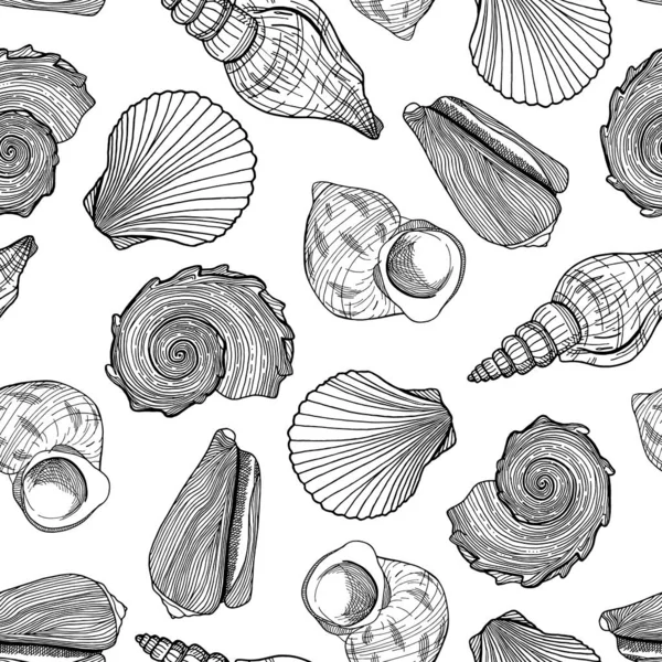 Patrón Sin Costura Blanco Negro Con Conchas Marinas Ilustración Vectorial — Archivo Imágenes Vectoriales