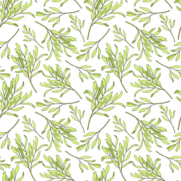 Tea tree leaves seamless pattern. Hand drawn vector illustration of Melaleuca. Green medicinal plant isolated on white background. Herbs for cosmetics, package, textile, essential oil — Stock Illustration Tea Tree Leaves Seamless Pattern Hand Drawn Vector Illustration Melaleuca Royalty Free Stock Illustrations